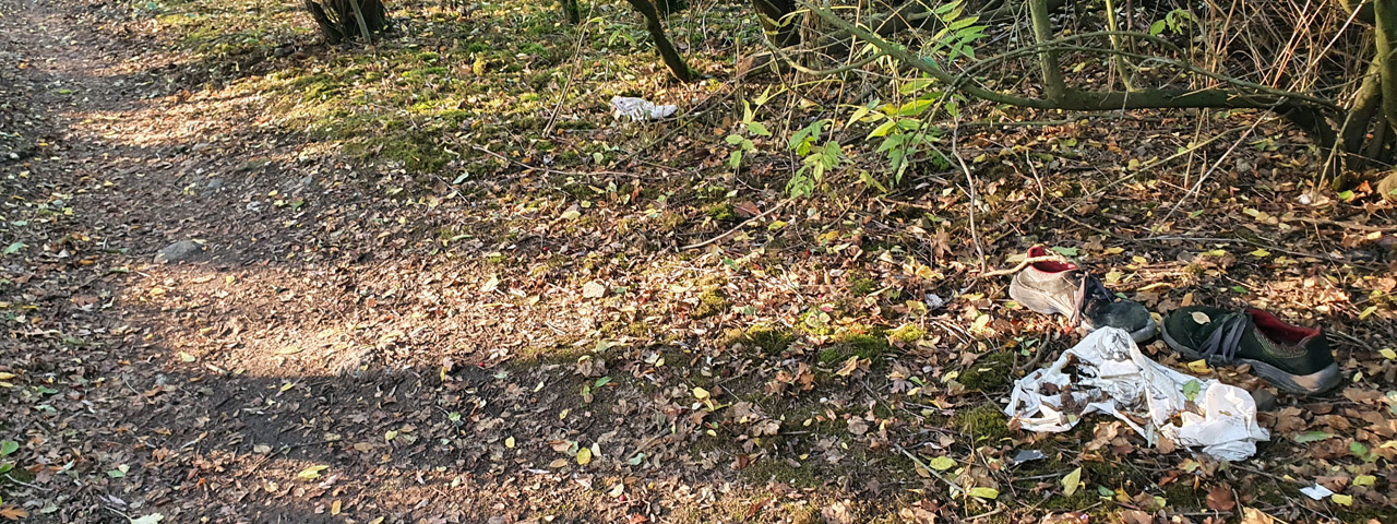 Ein paar Schuhe liegt in den Unterwiesen.