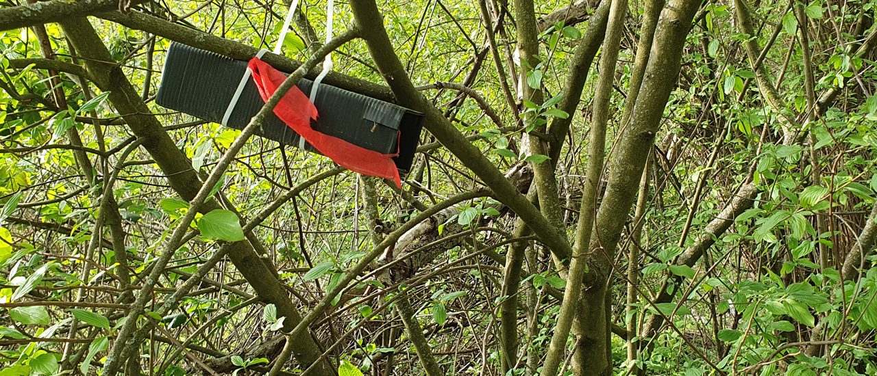 Niströhre für Haselmäuse hängt in den Büschen