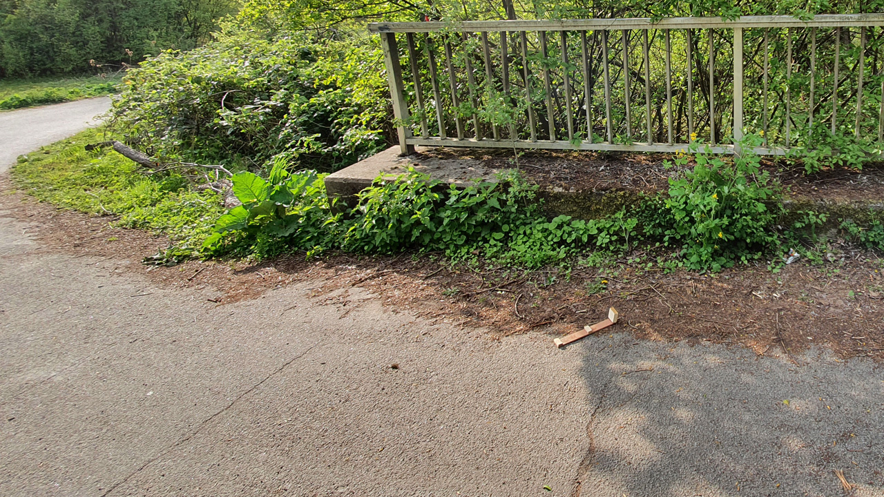Brücke mit Holzleiterchen aus der Niströhre