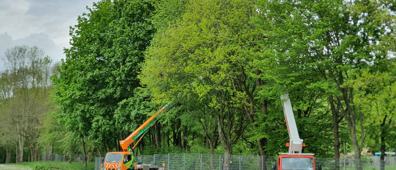 Zwei Hebebühnen vor den Bäumen