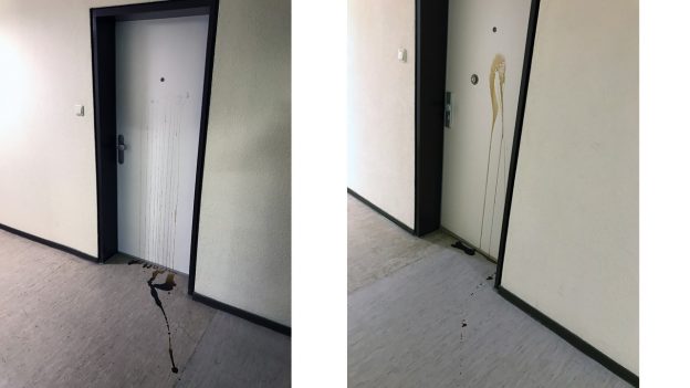 Zwei beschmierte Wohnungstüren