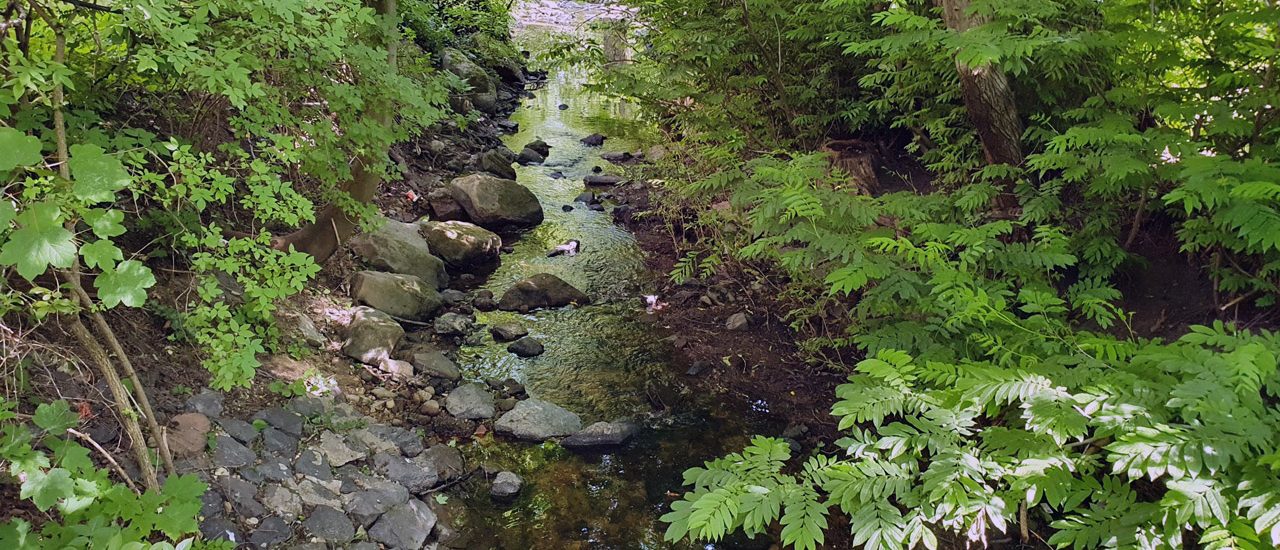 Blick auf den Westerbach