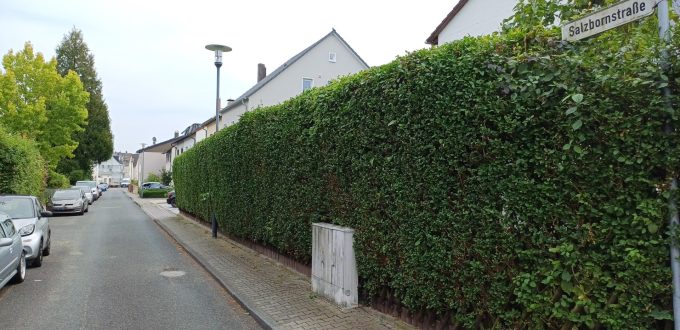 Tatort Salzbornstraße